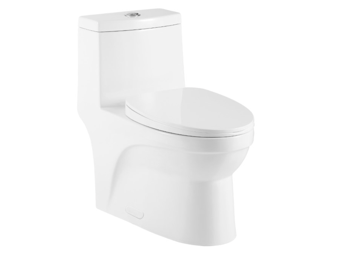 One Piece Oval Toilet with Soft Closing Seat and Dual Flush Height 27 4/5'