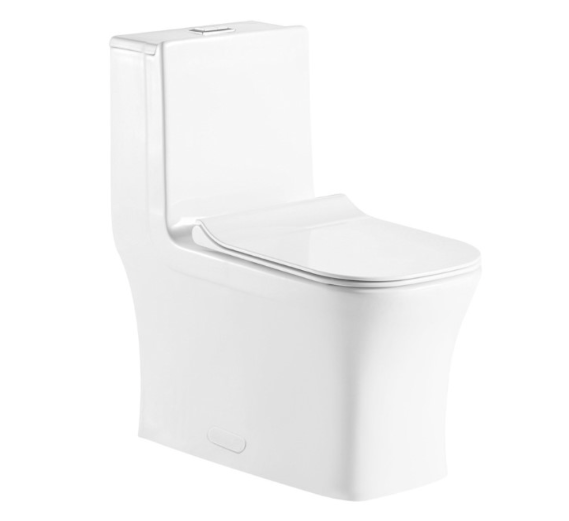 One Piece Square Toilet with Soft Closing Seat and Dual Flush Height 29 9/10'