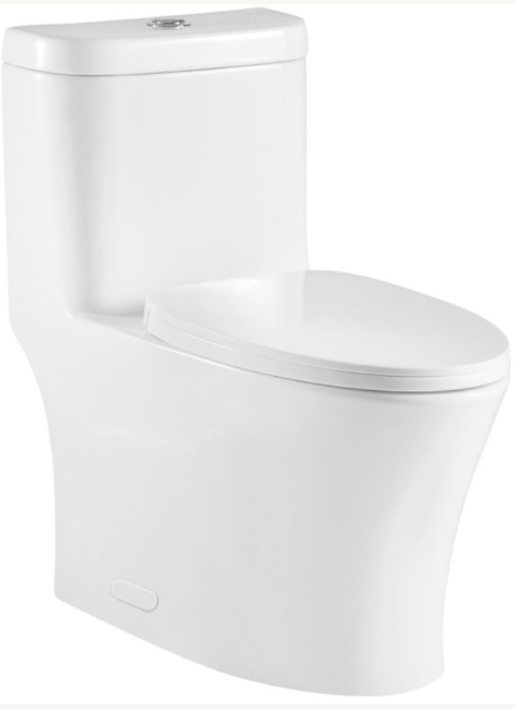 One Piece Oval Toilet with Soft Closing Seat and Dual Flush Height 29 7/10'