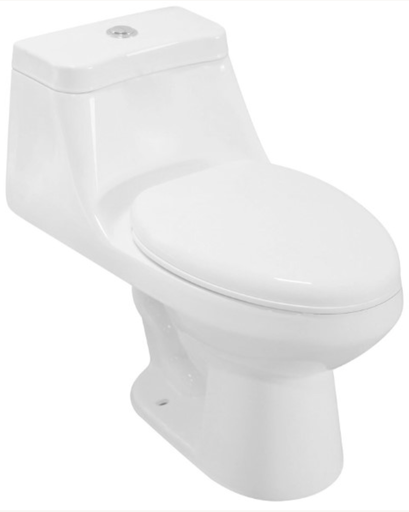 One Piece Oval Toilet with Soft Closing Seat and Dual Flush Height 26'