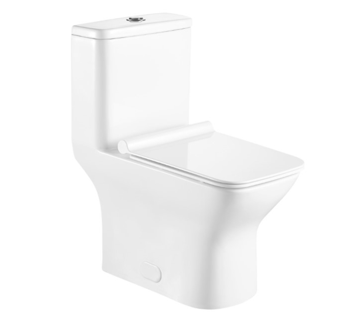 One Piece Square Toilet with Soft Closing Seat and Dual Flush Height 29 9/10'