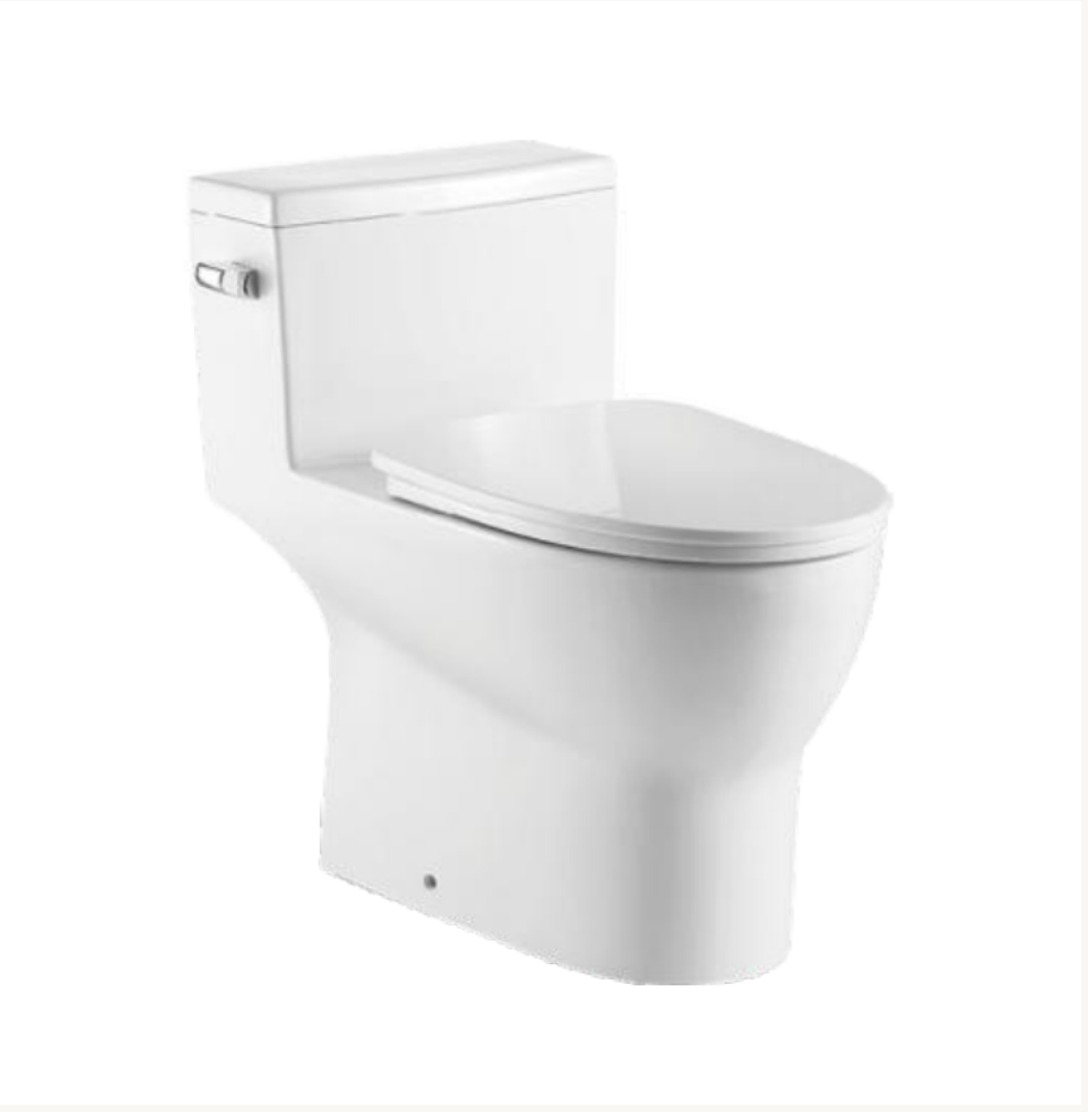 One-Piece Oval Toilet with Soft Closing Seat and Dual Flush Height 28" Side Button